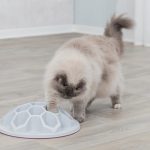 Cat Activity Snack Hive XL