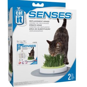 Cat It Senses Grass Garden Refill 2-pack