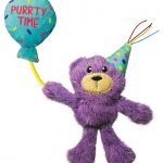 Kattleksak Kong Cat Birthday Teddy