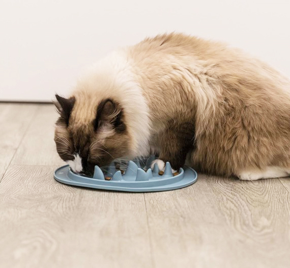 Slow Feed fodermatta för katt