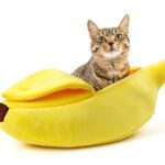 Banan Kattbädd - Spralla