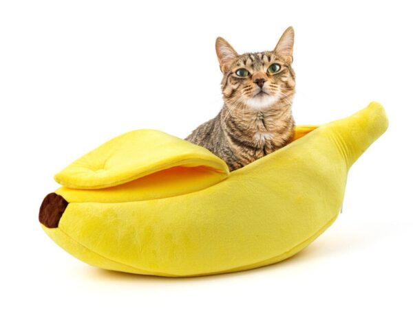 Banan Kattbädd - Spralla