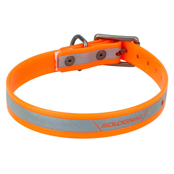 Hundhalsband Reflekterande Orange520